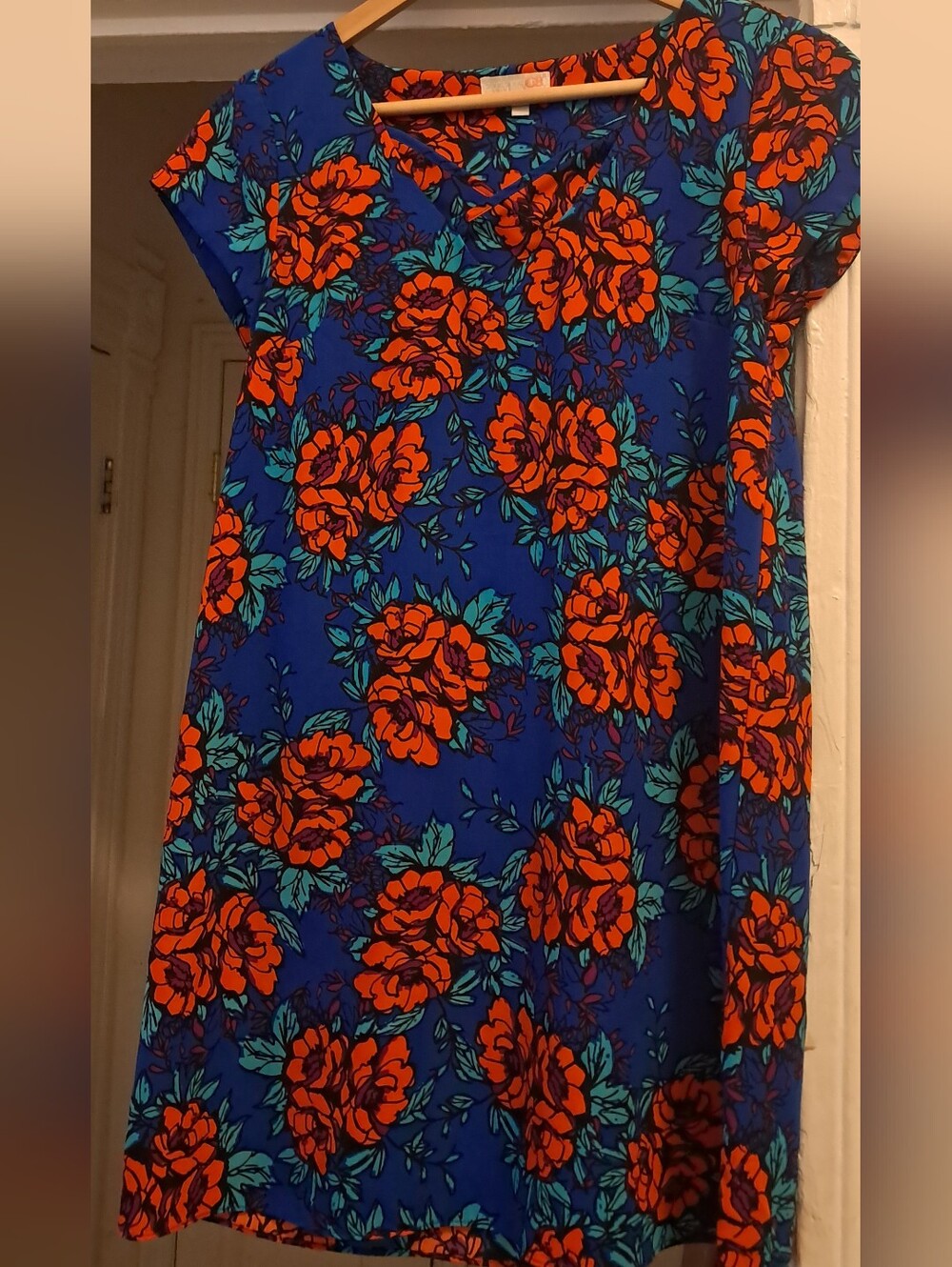 GB Vibrant Orange/Blue Floral Mini Dress